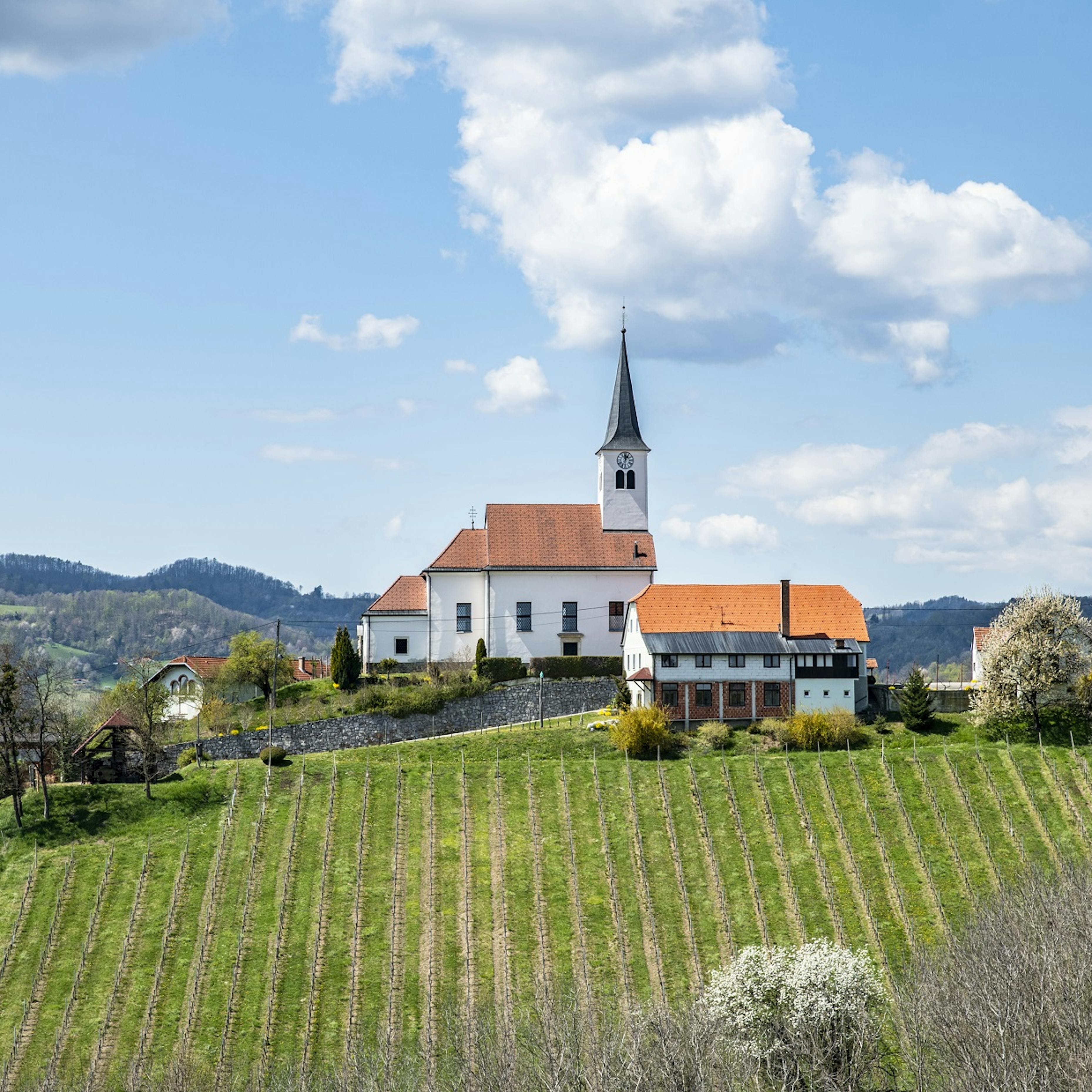 Kungota